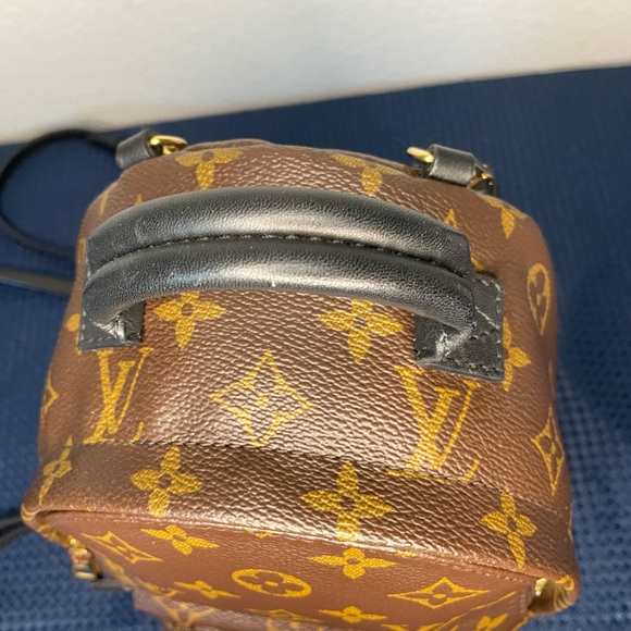 Louis Vuitton Palms Springs mini - Picture 7 of 15